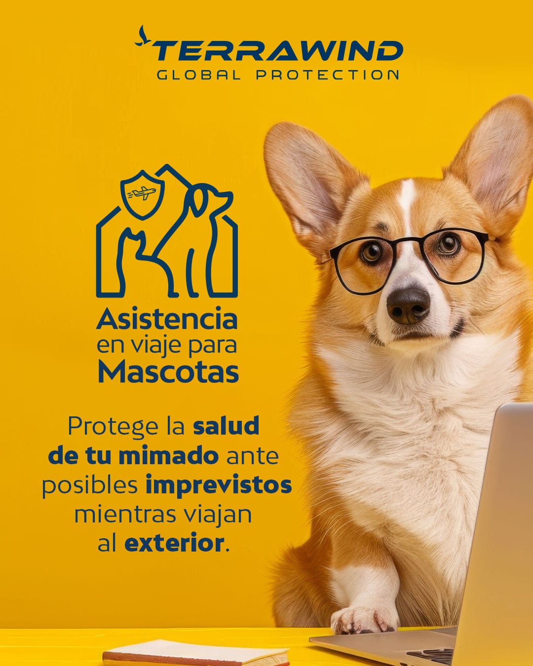 Imagen 3