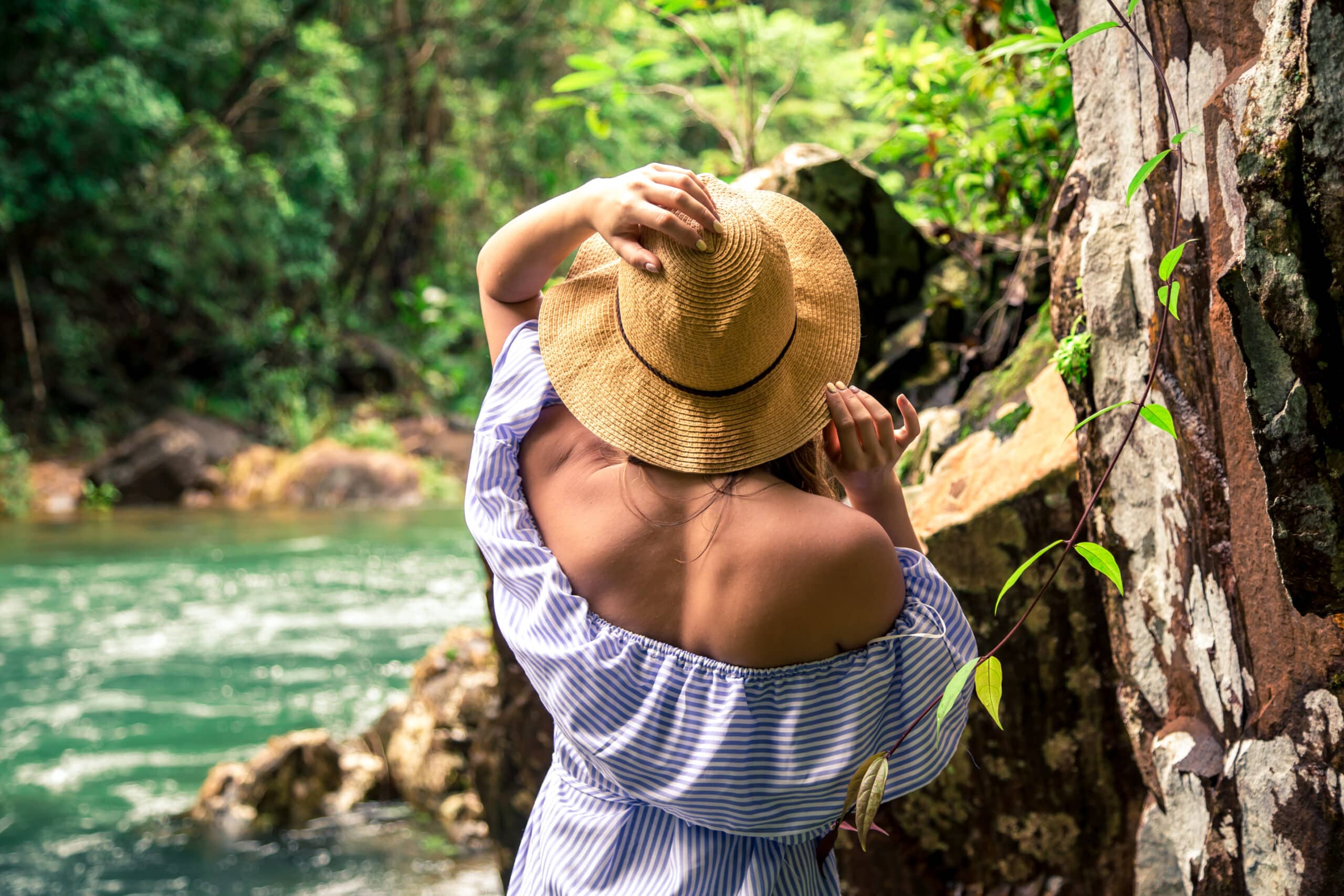 selva de costa rica