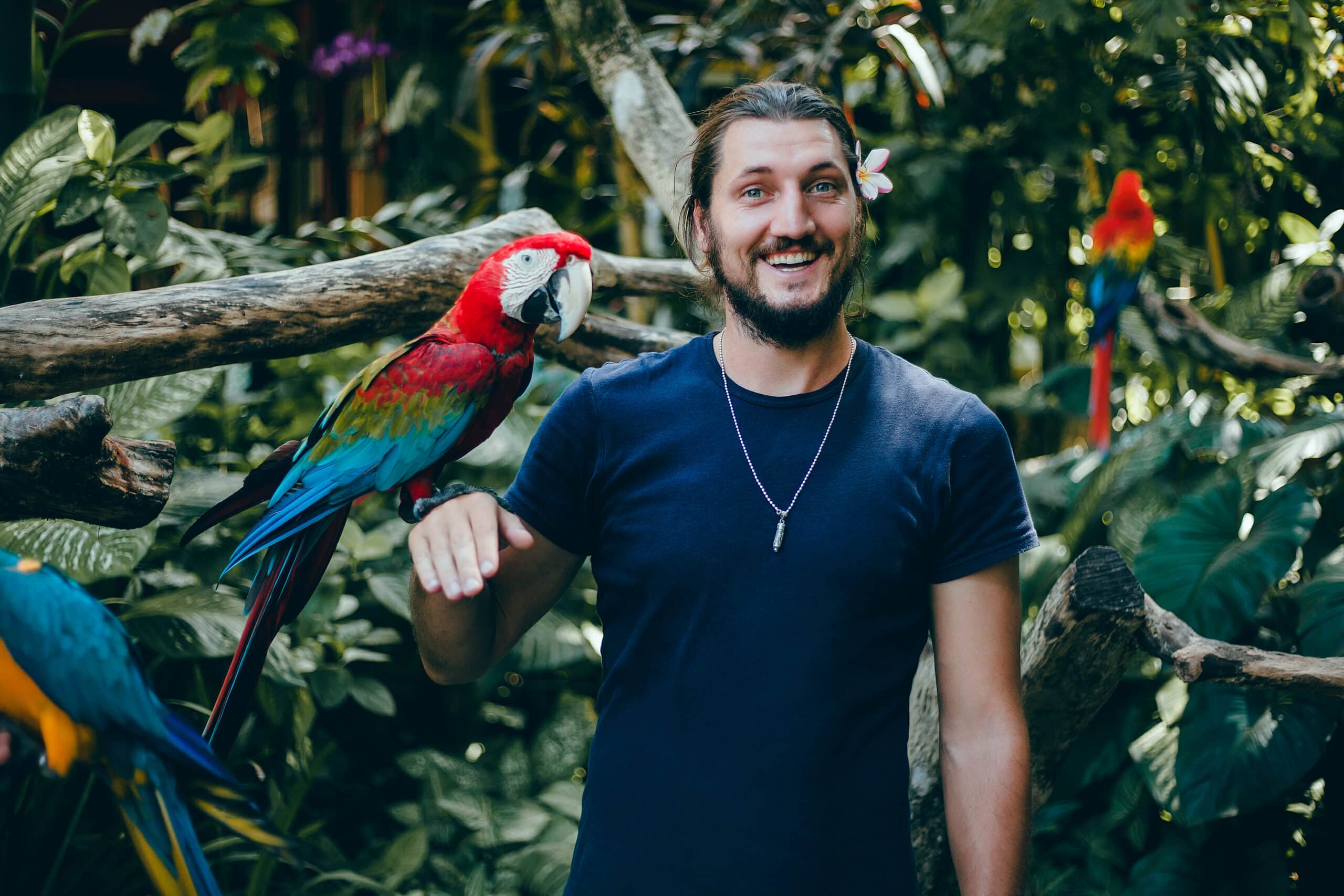 guacamayas en costaruica